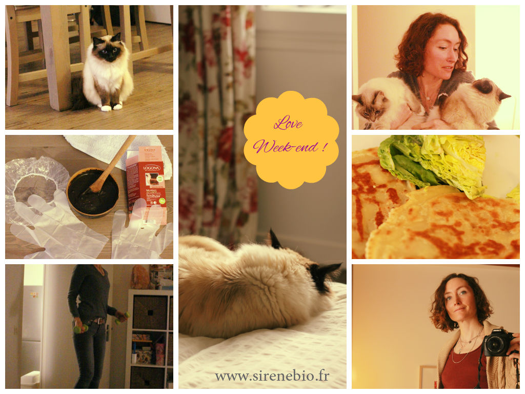 Coloration naturelle, vie de chats, repos et exercices physiques **...