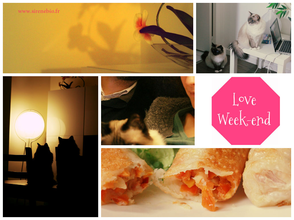Bes rien... juste des petites choses qui font le bonheur **... et puis encore des chats ;)