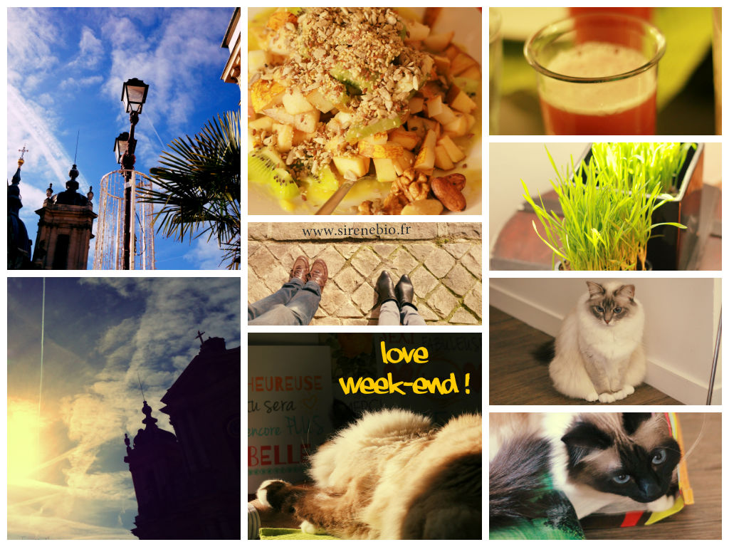 Soleil et ciel bleu, juicy time, Miam O fruits et les plus beaux chats du monde !! ;)