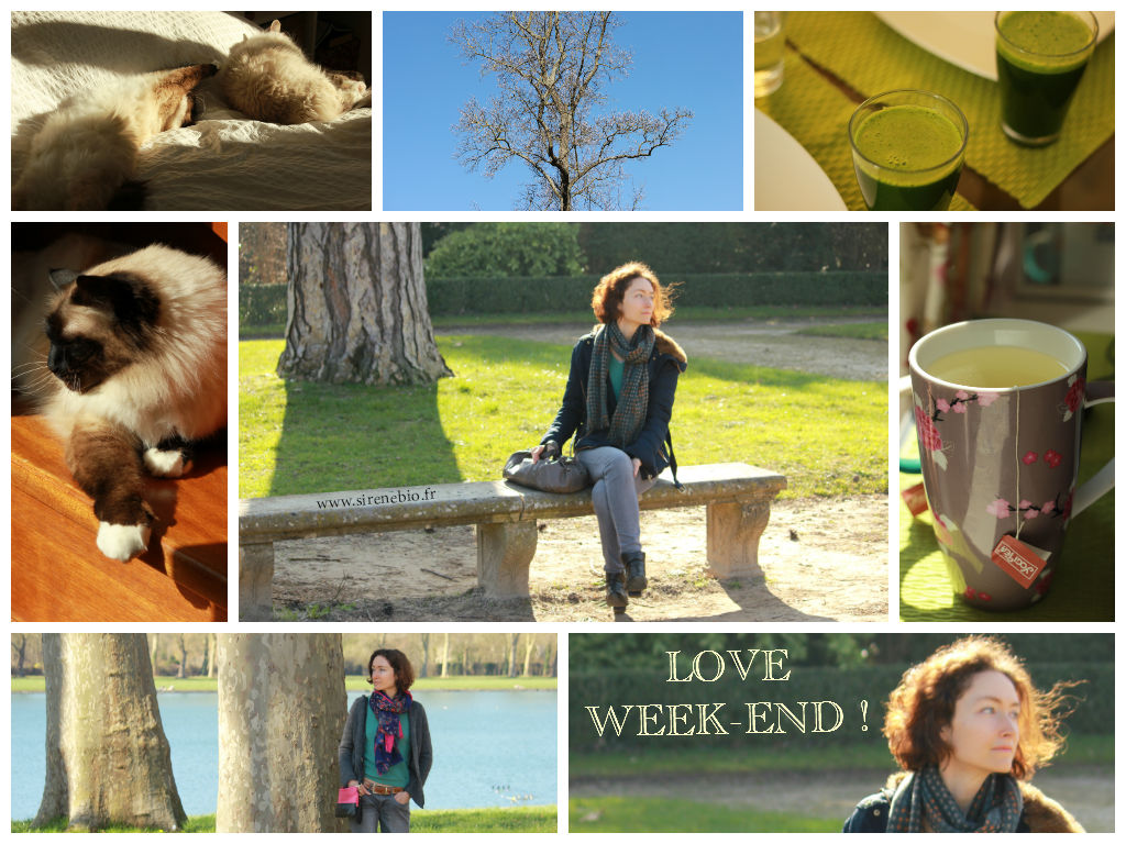 Green, oxygène, Yogi Tea, photos, turquoise, ... et chats ;)