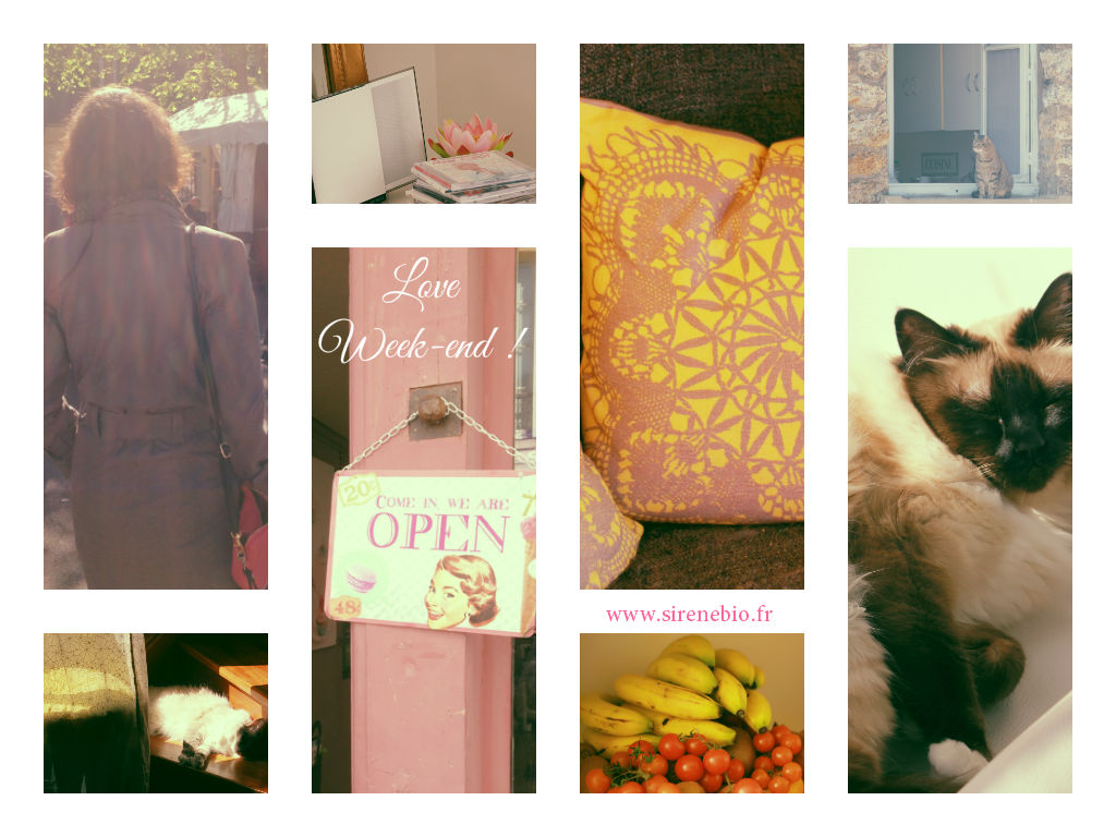 Brocante, soleil, musique, fleur de lotus, jaune, chats...