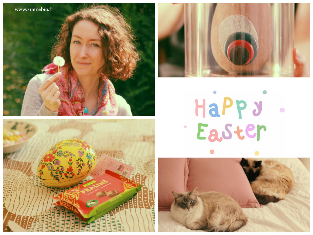 Pâques 2014, chocolats, nature, famille et chats...