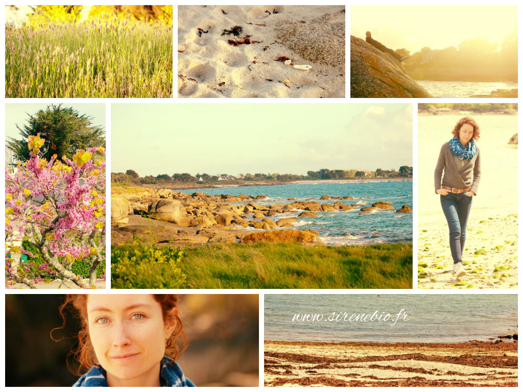 Vacances en Bretagne... c'était génial !! Maintenant retour chez soi :)