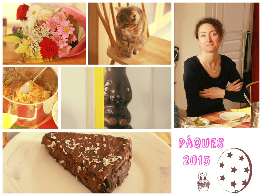 Fleurs, soleil, chocolats, Fondant chocolat, sourire, famille, Tiny le chat...