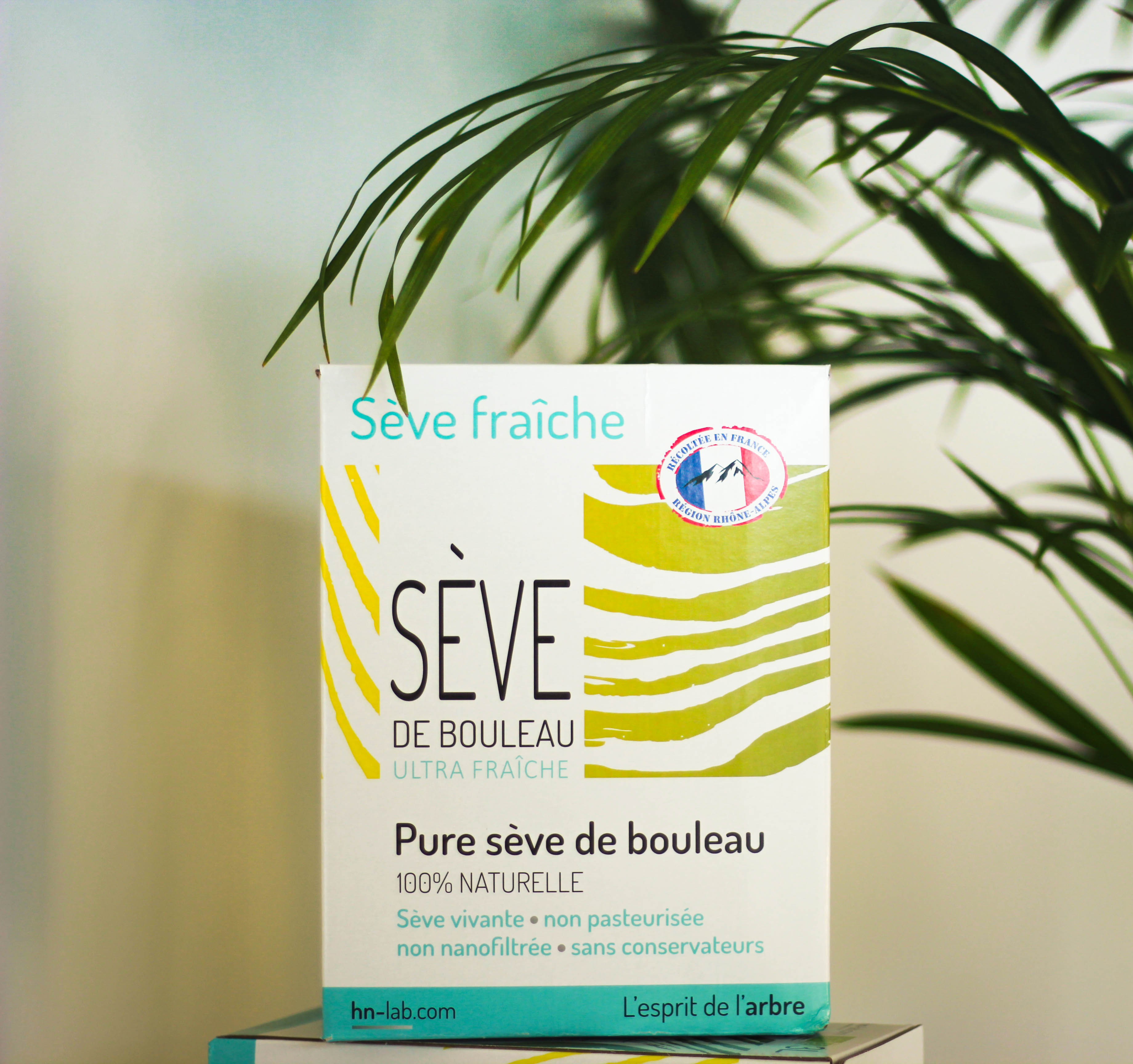 Sève de Bouleau Fraîche - hn lab