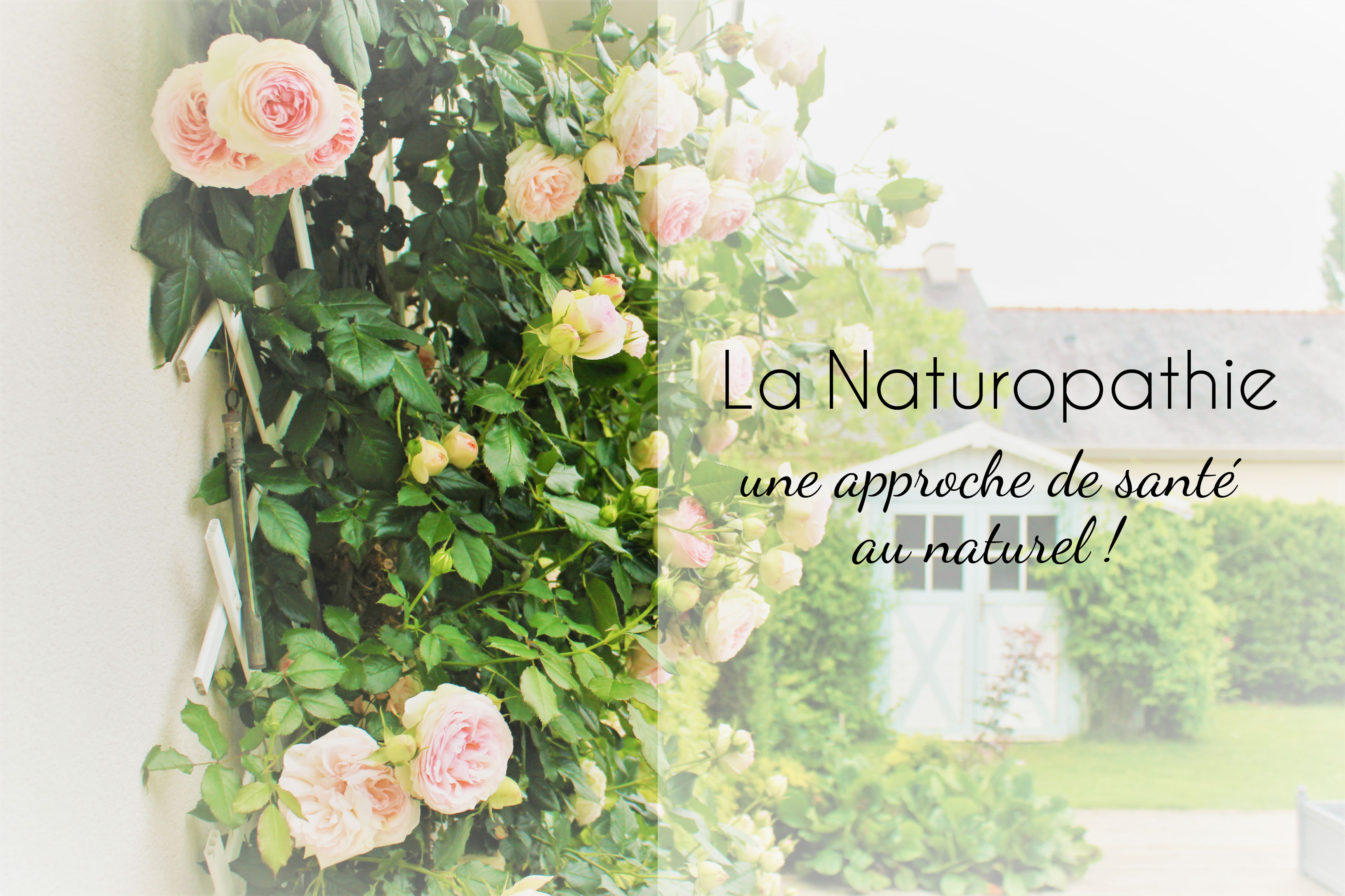 la naturopathie