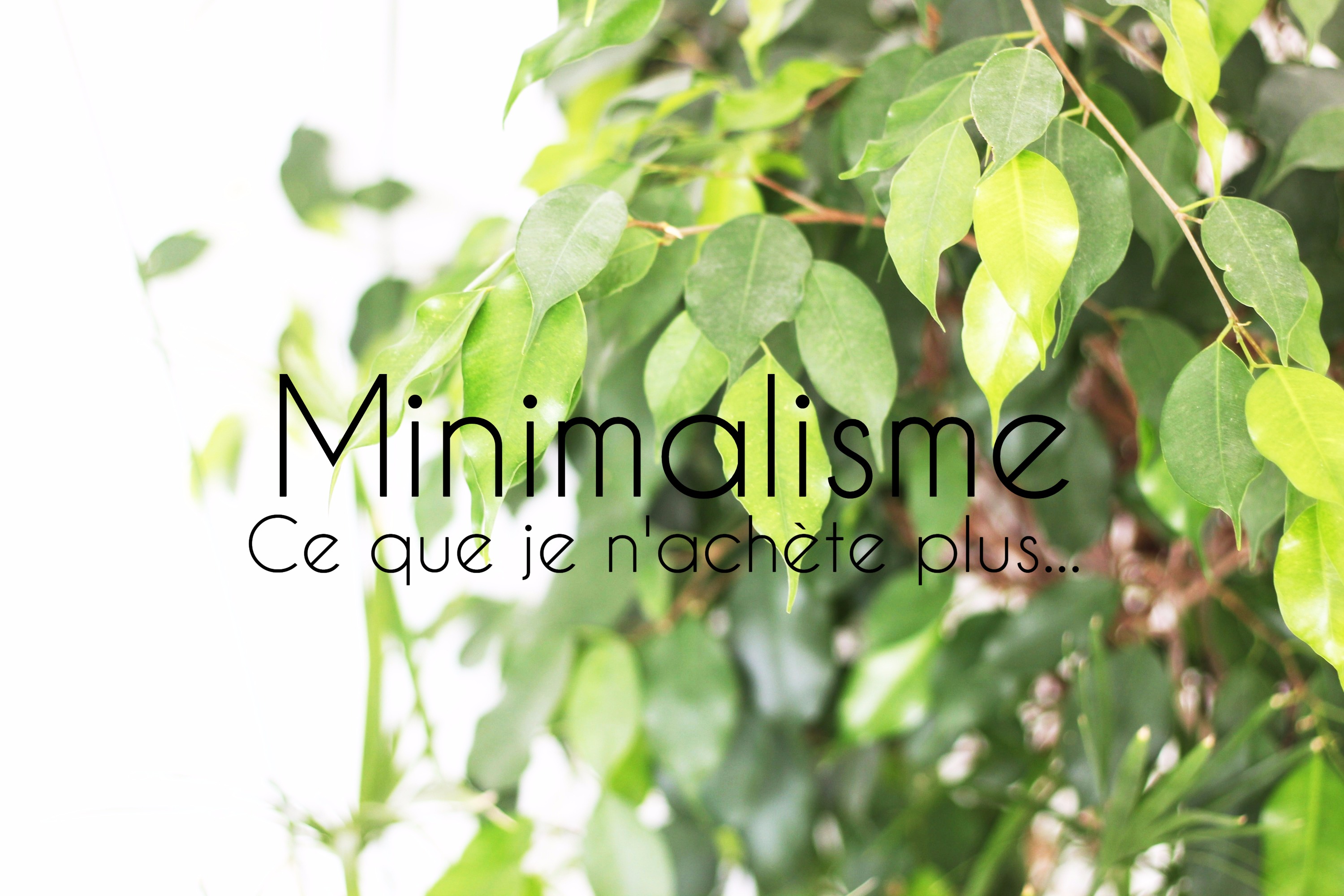 Minimalisme