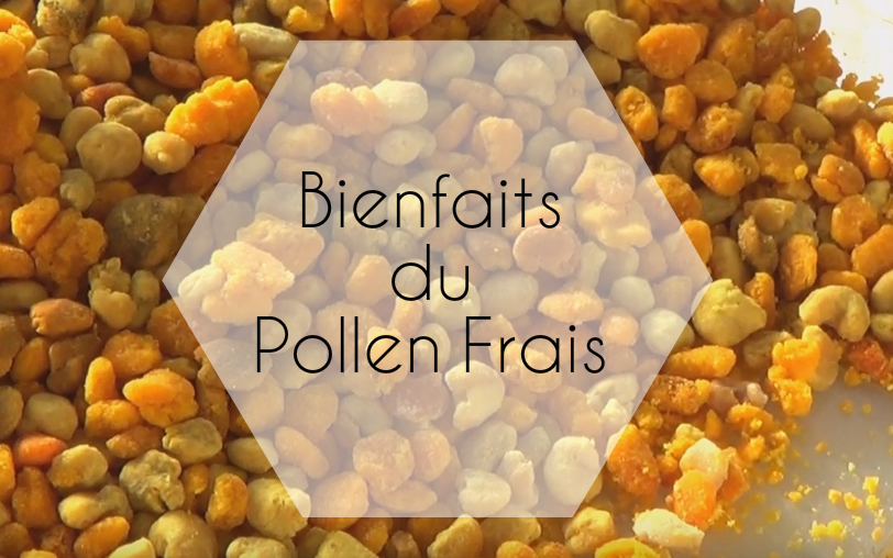 Bienfaits Pollen frais