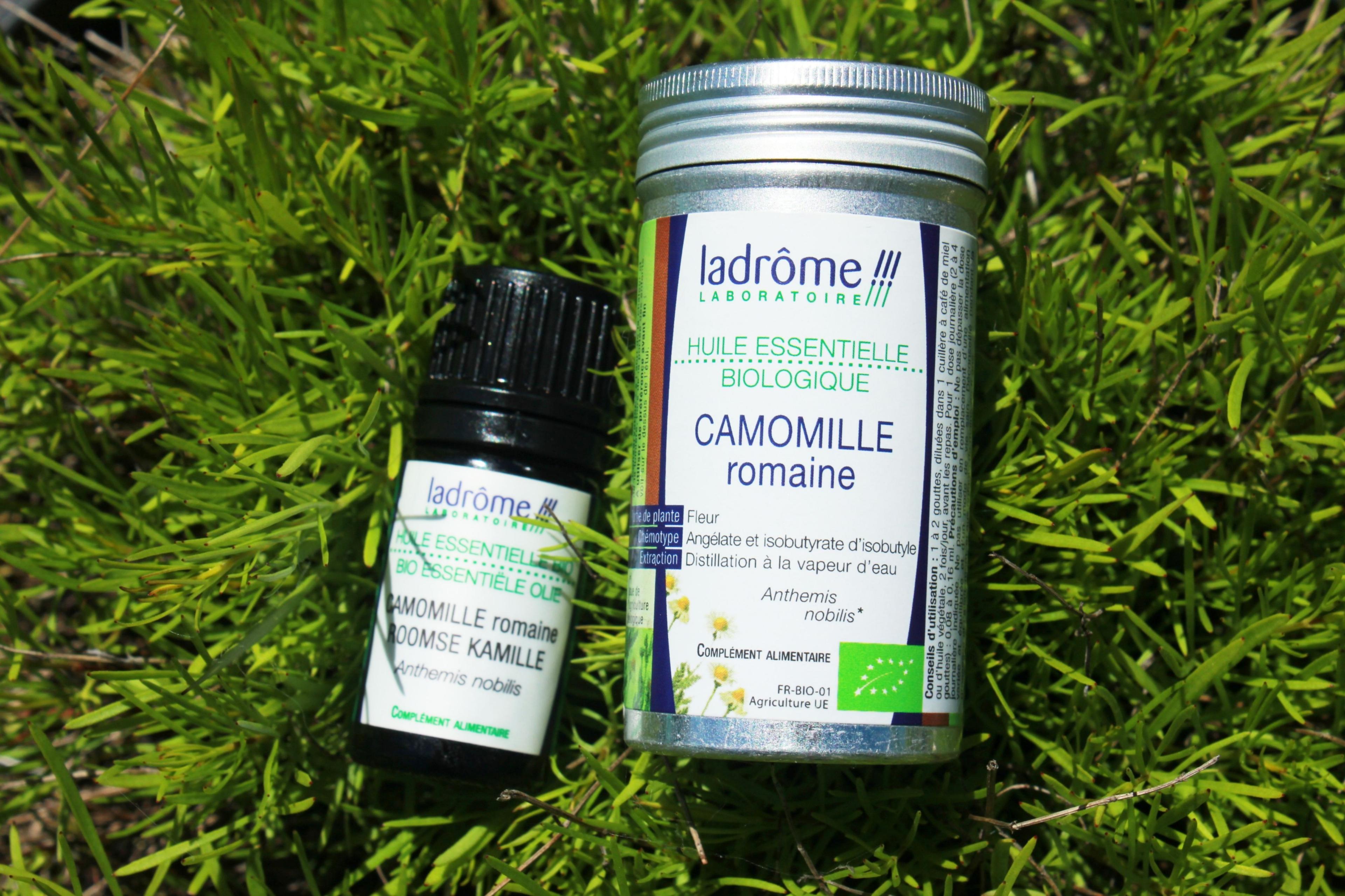 Camomille Romaine Ladrôme