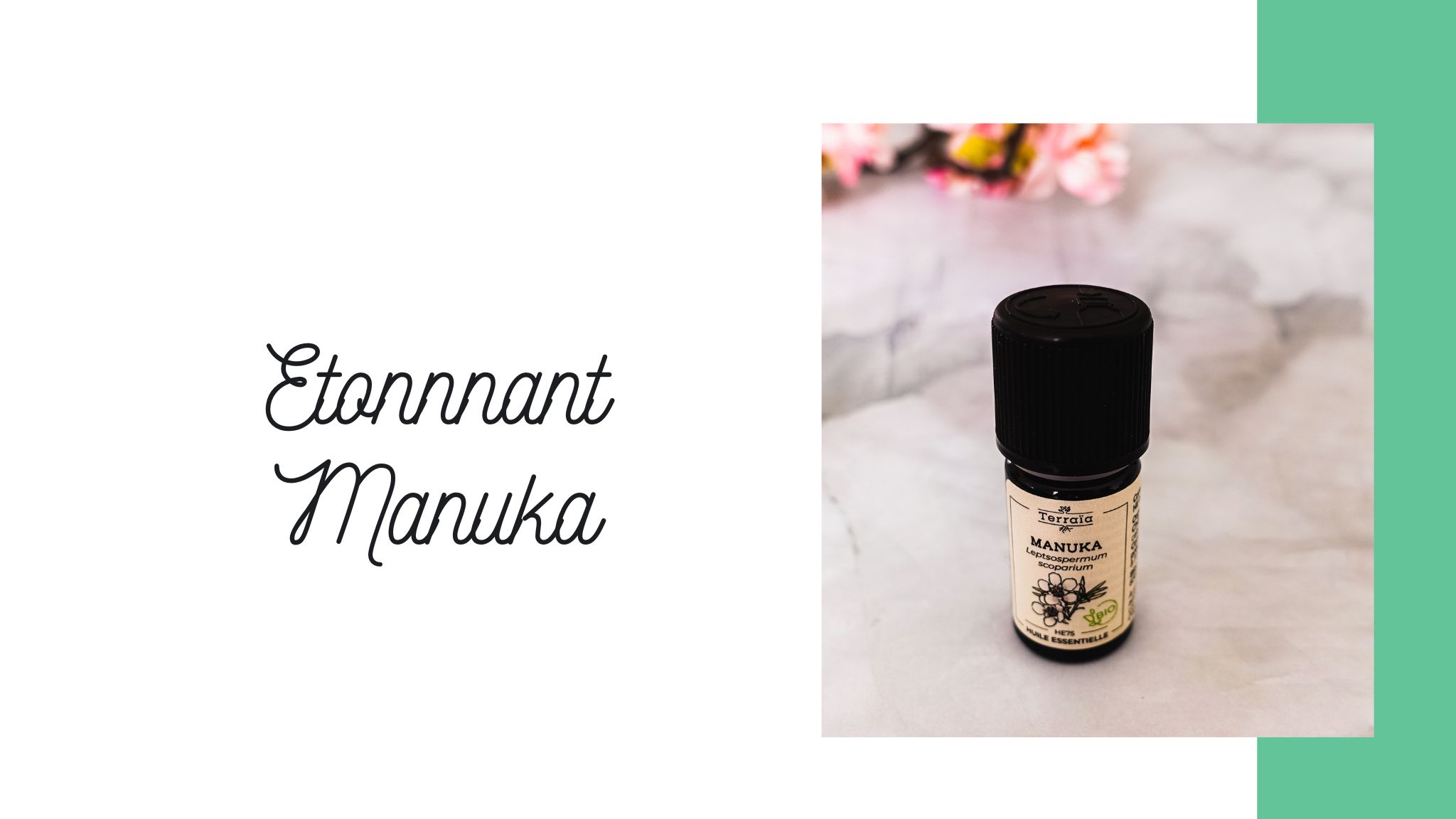 L'huile essentielle de Manuka est elle plus efficace que l'huile ...