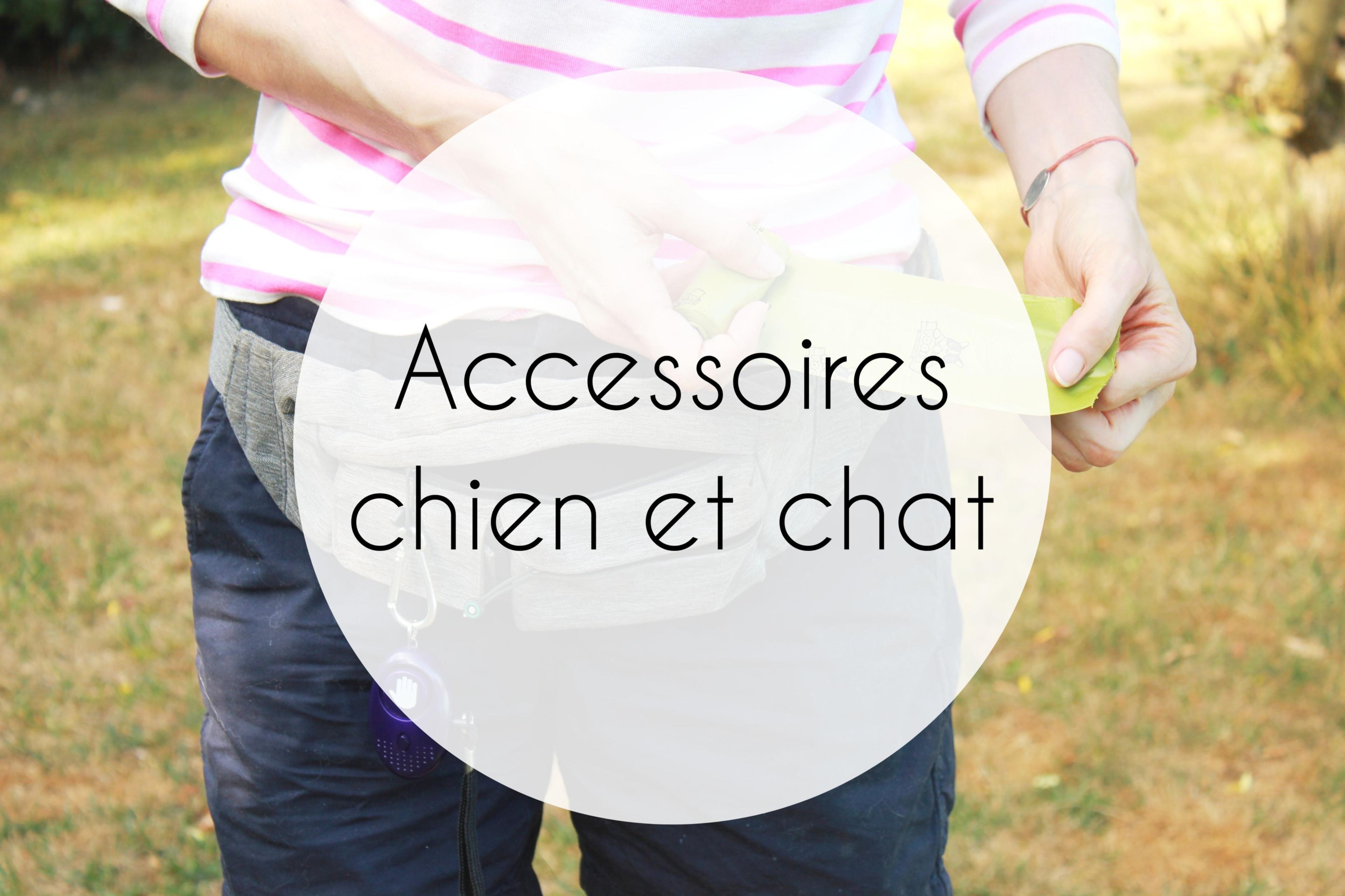 accessoires chien et chats